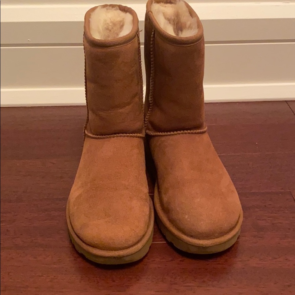 UGG CLASSIC SHORT CHESTNUT (size 6)